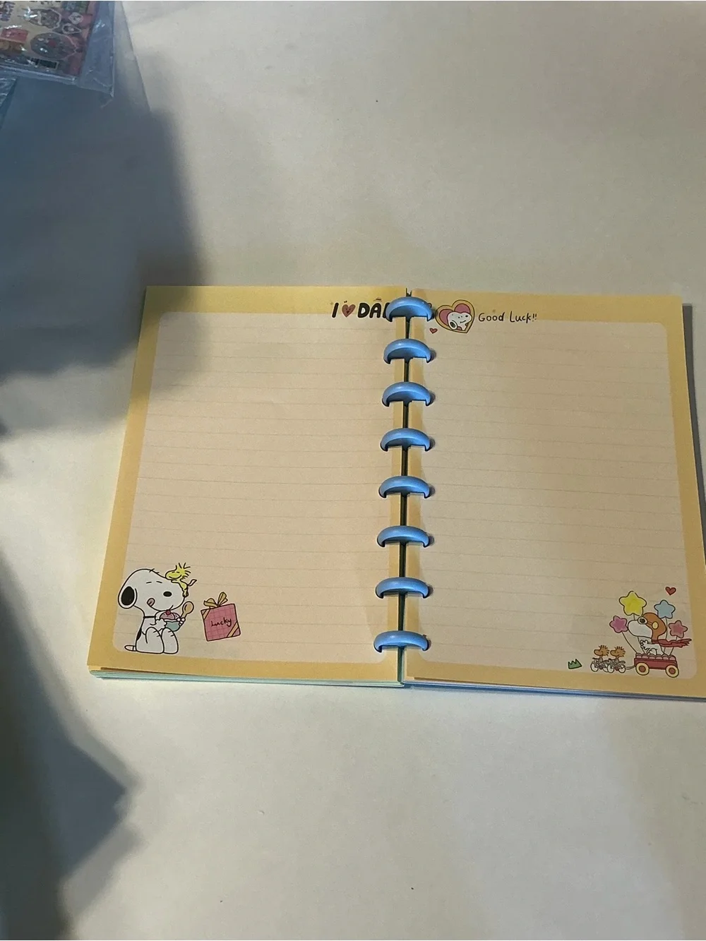 Snoopy A5 spiral bound, cute notebook!
